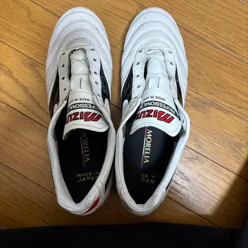 미즈노 모렐리아 2