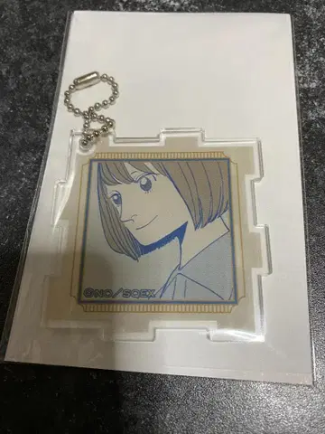 BADON 카와셀 복권 D상 퍼즐 키링 릴리