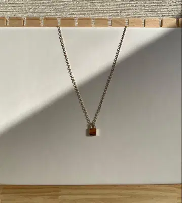 새상품 ana luisa 키 목걸이 수납 가방 포함 아나 루이사