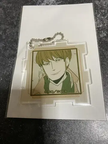 BADON 카와세루 복권 D상 퍼즐 키링 라즈