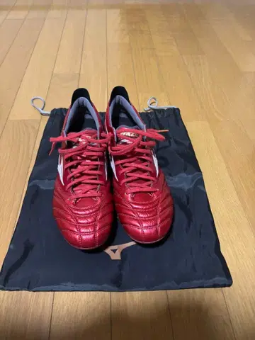 모렐리아 네오 4