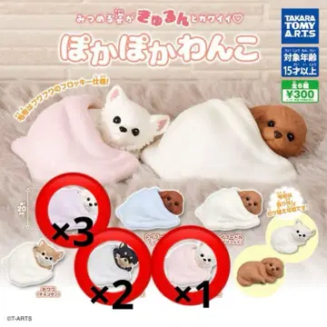 따끈따끈 강아지 치와와