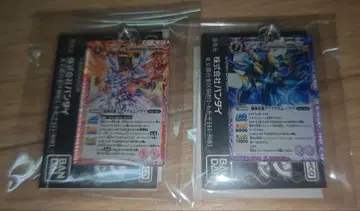 배틀 스피릿 아크릴 참 노바 2종 세트