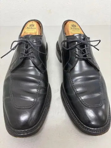 알든 SHIPS 한정 U팁 코도반 8.5D