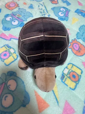 아토아 복권 2등 봉제 인형 알다브라 육지거북 거북