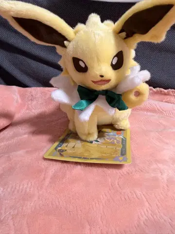 이브이 컬렉션 봉제 인형 썬더스