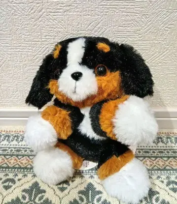 완완 파크 16마리 친구들 버니즈 마운틴 도그