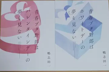 청춘 돼지 녀석은 산타클로스의 꿈을 꾸지 않아 특전 소설 2권