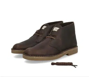 Clarks DESERT BT EVO Clarks 200주년 기념 모델