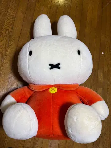 세키구치 미피 초특대형