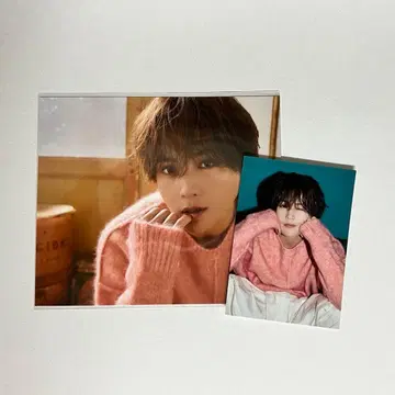 즈토 즈토 야기 유세이 트레이딩 카드 아자자