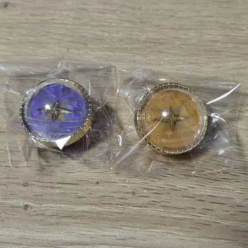 프로세카 라이트 신카이 루이 텐마 츠카사