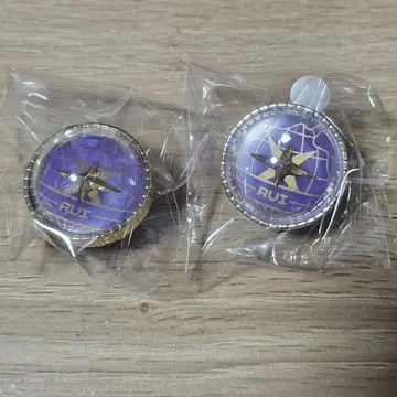 프로세카 라이트 신도 루이