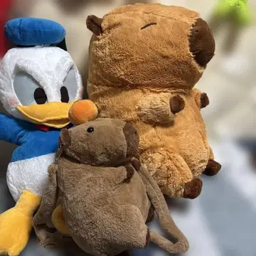 카피바라 봉제 인형 약 55cm