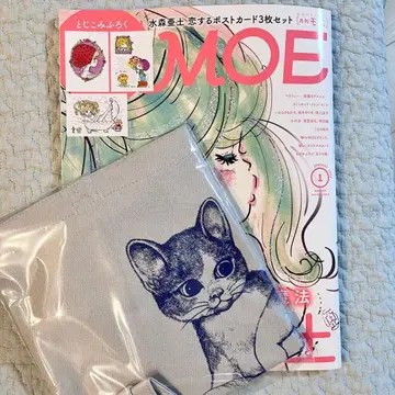MOE 1월호 미즈모리 아도 히구치 유코 토트백