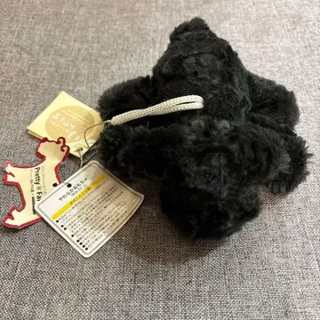 레어 혼야라당 애니멀 강아지 개