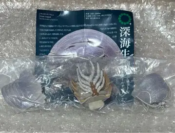 심해 생물 가샤폰 대왕소라게