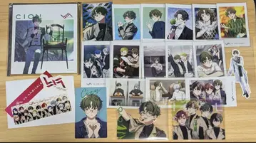 비바 렌 시온 묶음 판매