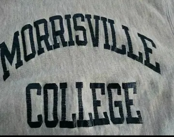 챔피온 리버스 위브 S 80s small