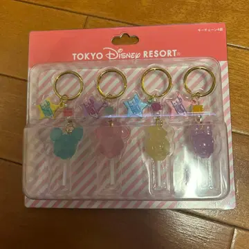 도쿄 디즈니 리조트 키체인 4종