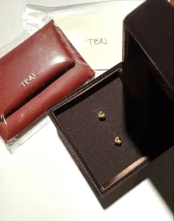 TEN. 타이니 하트 귀걸이 GD