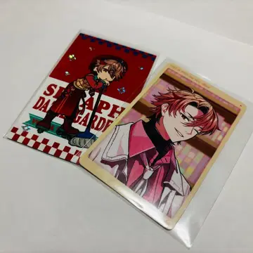 세라프 다즐 정원 2장 세트