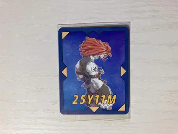 FF9 전시회 혜택 콰드미스트풍 카드 살라만더