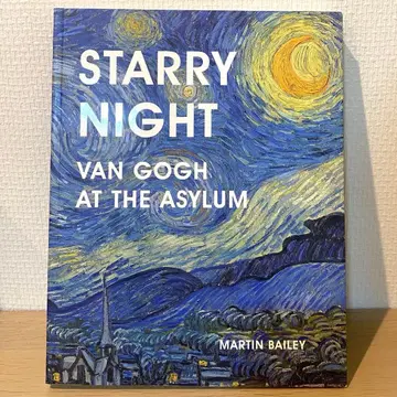 Starry Night Van Gogh At the Asylum