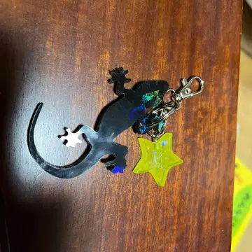 도마뱀, 도마뱀 디자인 레진제 키링