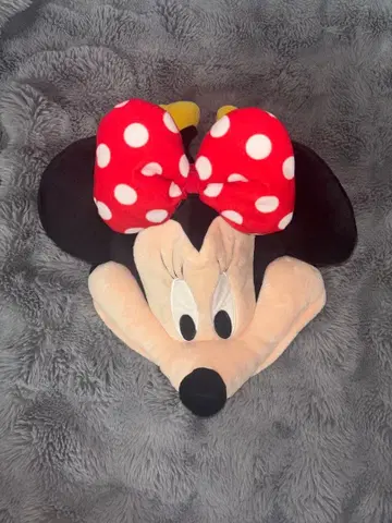 디즈니 미니 팬캡