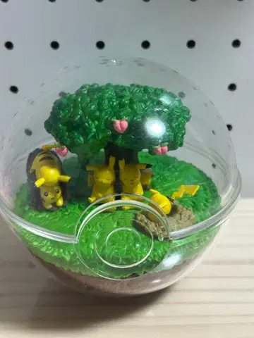 포켓몬 테라리움 컬렉션 DX 햇볕 드는 숲의 피카츄 부분 부족