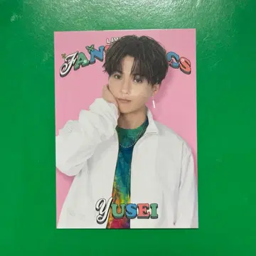 야기 유세이 시크레