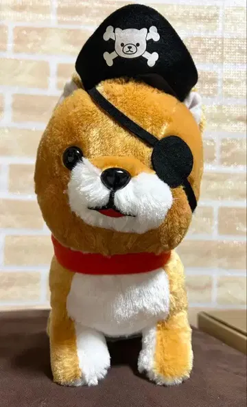 콩시바 삼형제 시바견 봉제 인형