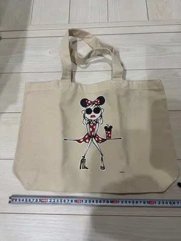 다이치 미우라 토트백 미니