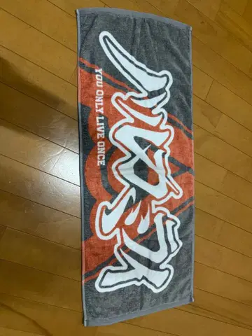 하루카 미라이 타월