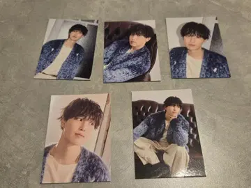 호리 나츠키 쭉쭉 트레이딩 카드 5장 세트