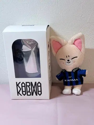 KARMA SKZOO 버전 폭시니