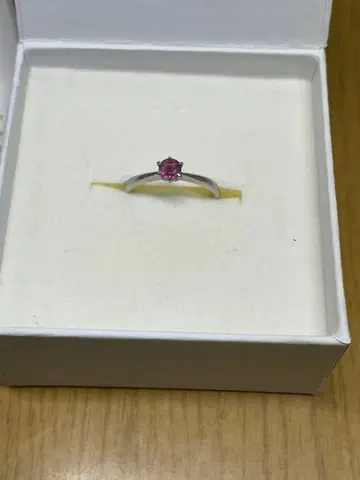 플라티나 루비 반지 10호