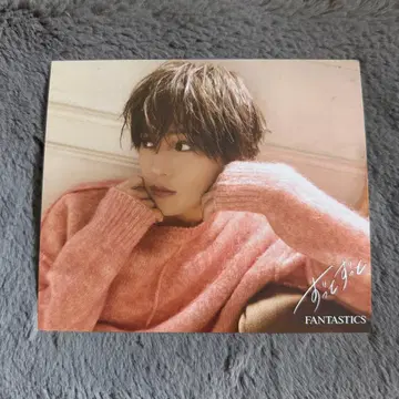 야기 유세이 아더 자켓