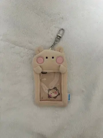 TRUZ RURU TREASURE 하루토 트레이딩 카드 케이스