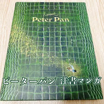 Loisel Peter Pan 피터팬 레지스 로와젤 외국도서 만화