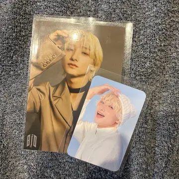 BUDDiiS FUMIYA FORENCOS 트레이딩 카드 브로마이드