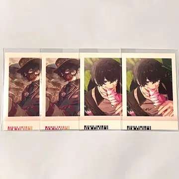 무라쿠모소에 금박 파샤코레