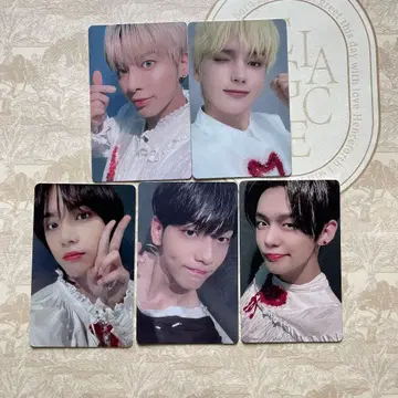 TXT FC 설문조사 당첨 회원 한정판 2021 트레이딩 카드 5장 세트