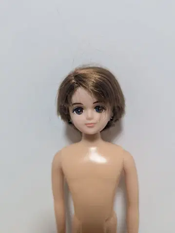 타카라토미 리카짱 보이프렌드 렌군