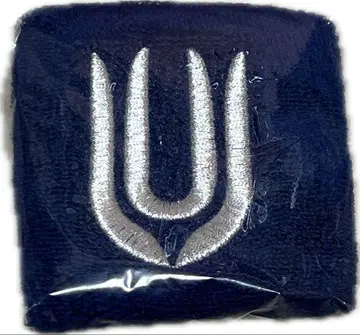 UNISON SQUARE GARDEN B-SIDE 리스트 밴드