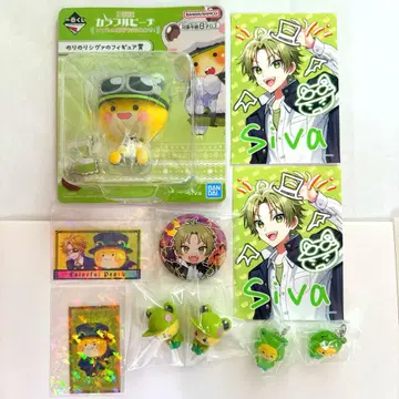 컬러풀 피치 카라피치 시바 묶음 판매