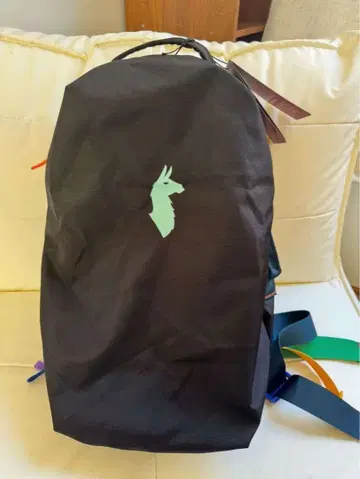 cotopaxi 백팩 28L