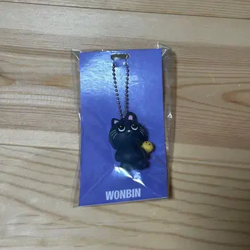 [ 미개봉 새상품 ] RIIZE 라이즈 러버 키링 원빈