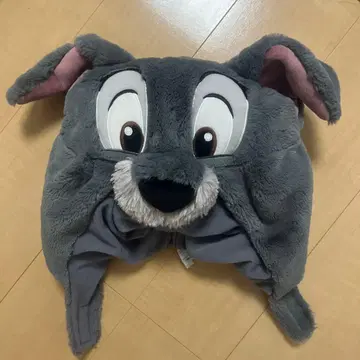 디즈니 팬캡 완스턴 이야기